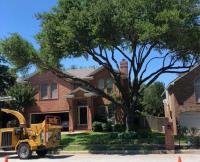 Fort Worth Tree Service image 2